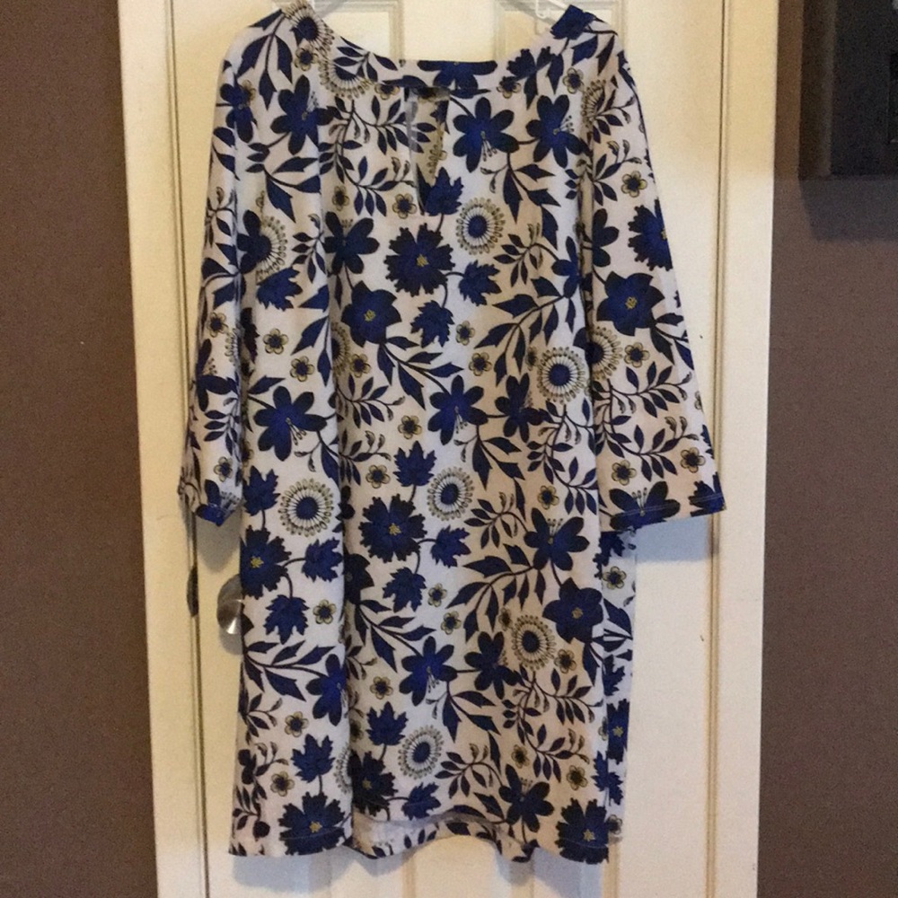 Bold and blue shift dress in size 1x.